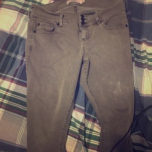 Torrid Jeans